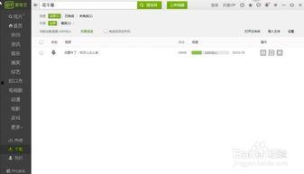 爱奇艺视频转换,解锁多元观看体验，畅享影视盛宴