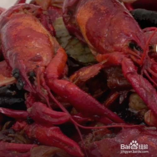 龙虾怎么做视频教程,从选购到上桌的详细教程